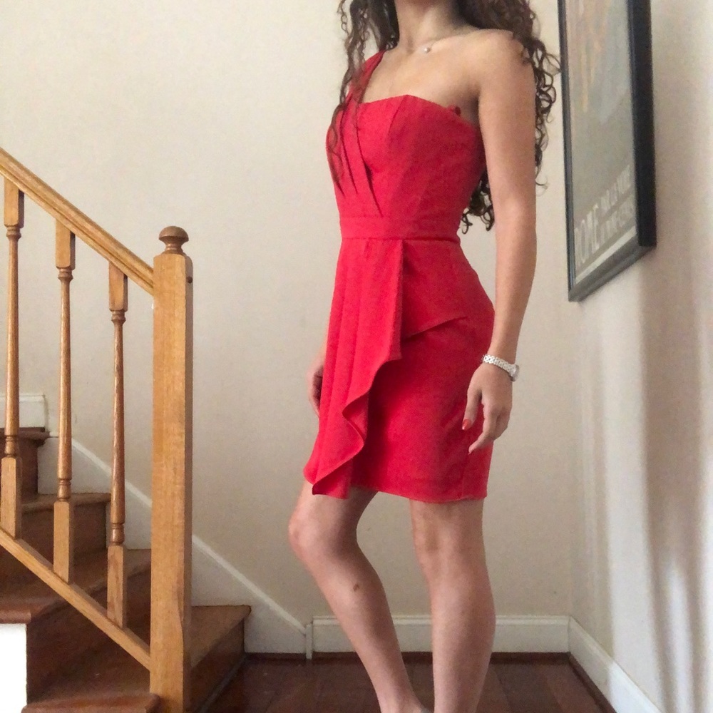 BRAND NEW BCBGMAXAZRIA DRESS